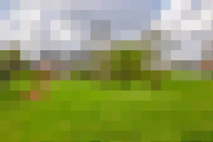 Burgemeester Klinkhamerweg 67 Zevenhuizen thumbnail 44