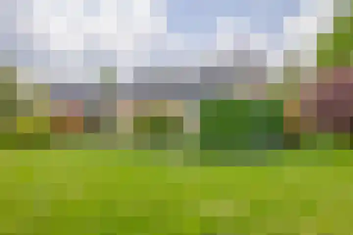 Burgemeester Klinkhamerweg 67 Zevenhuizen thumbnail 45