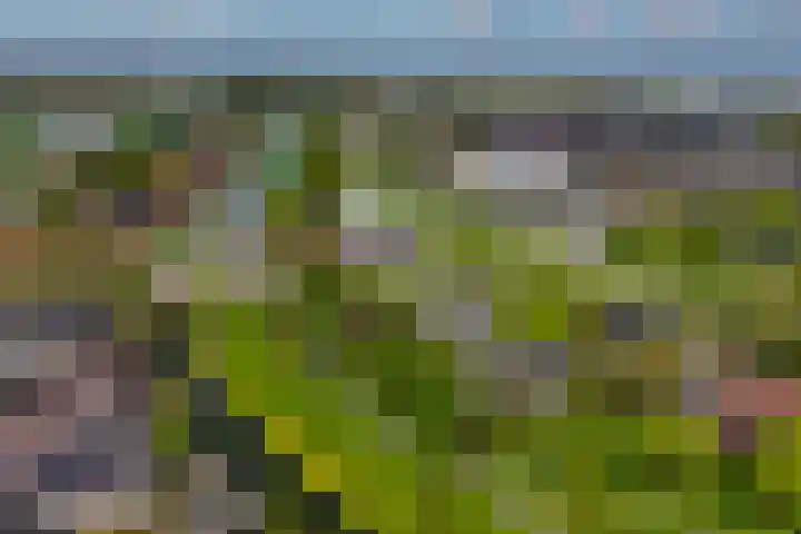 Burgemeester Klinkhamerweg 67 Zevenhuizen thumbnail 46