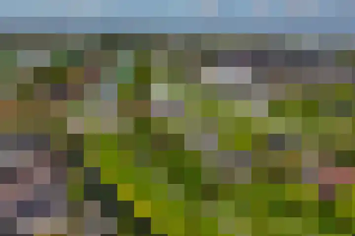 Burgemeester Klinkhamerweg 67 Zevenhuizen thumbnail 48