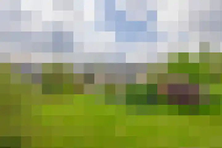 Burgemeester Klinkhamerweg 67 Zevenhuizen thumbnail 53