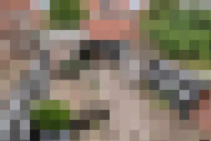 Burgemeester Klinkhamerweg 68 Zevenhuizen thumbnail 21