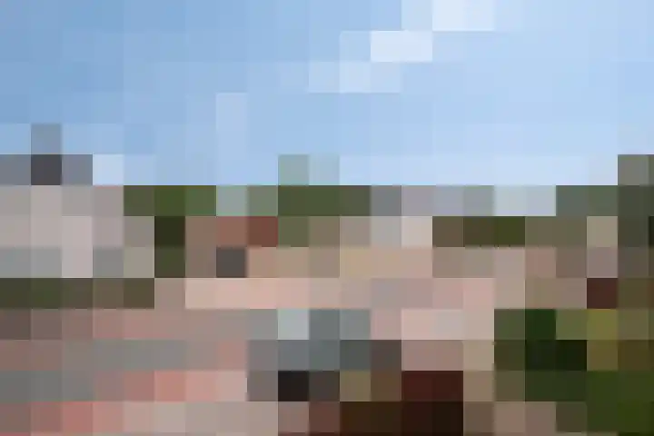 Burgemeester Klinkhamerweg 68 Zevenhuizen thumbnail 26