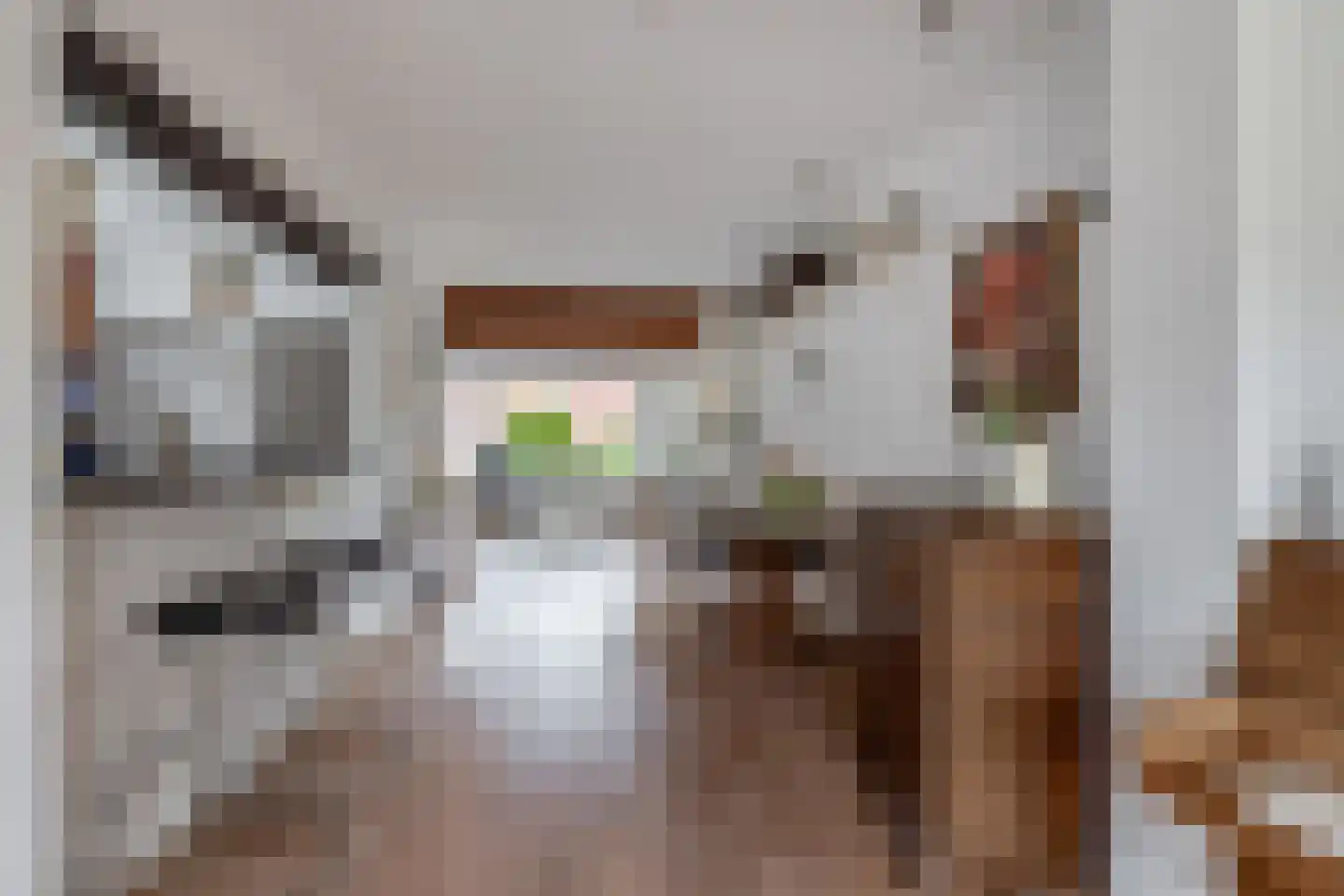 Burgemeester Klinkhamerweg 8 Zevenhuizen thumbnail 10