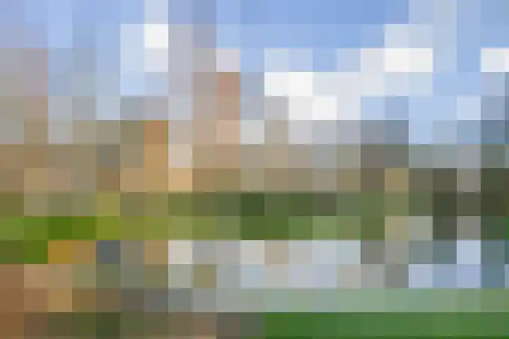 Burgemeester Knappertlaan 130 Schiedam thumbnail 36