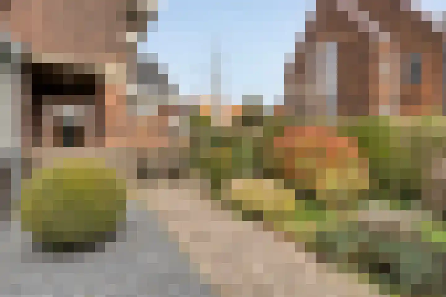 Burgemeester Knappertlaan 134 Schiedam thumbnail 5