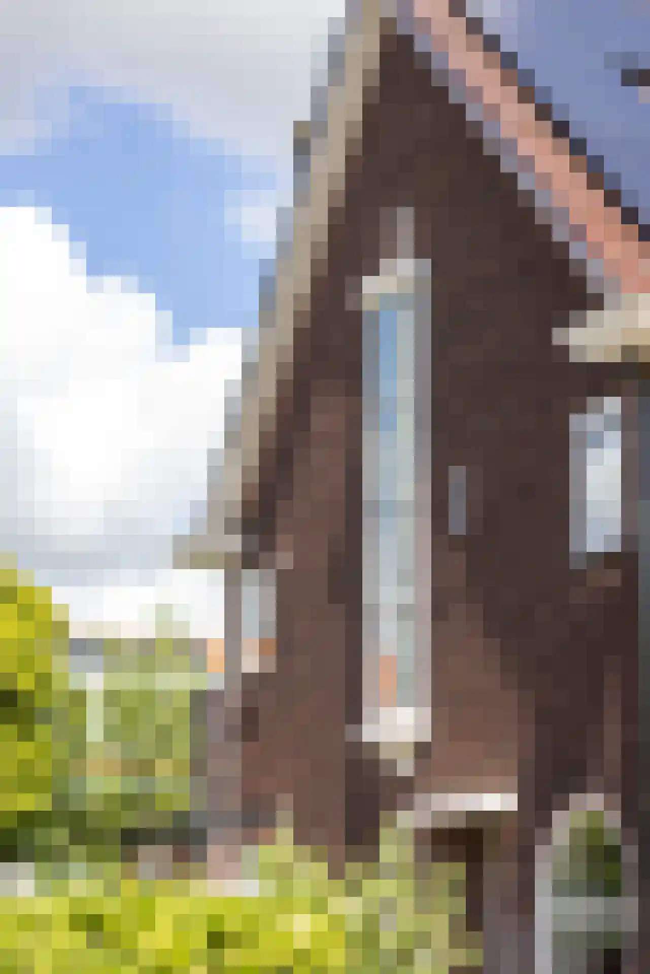Burgemeester Knappertlaan 154 Schiedam thumbnail 42