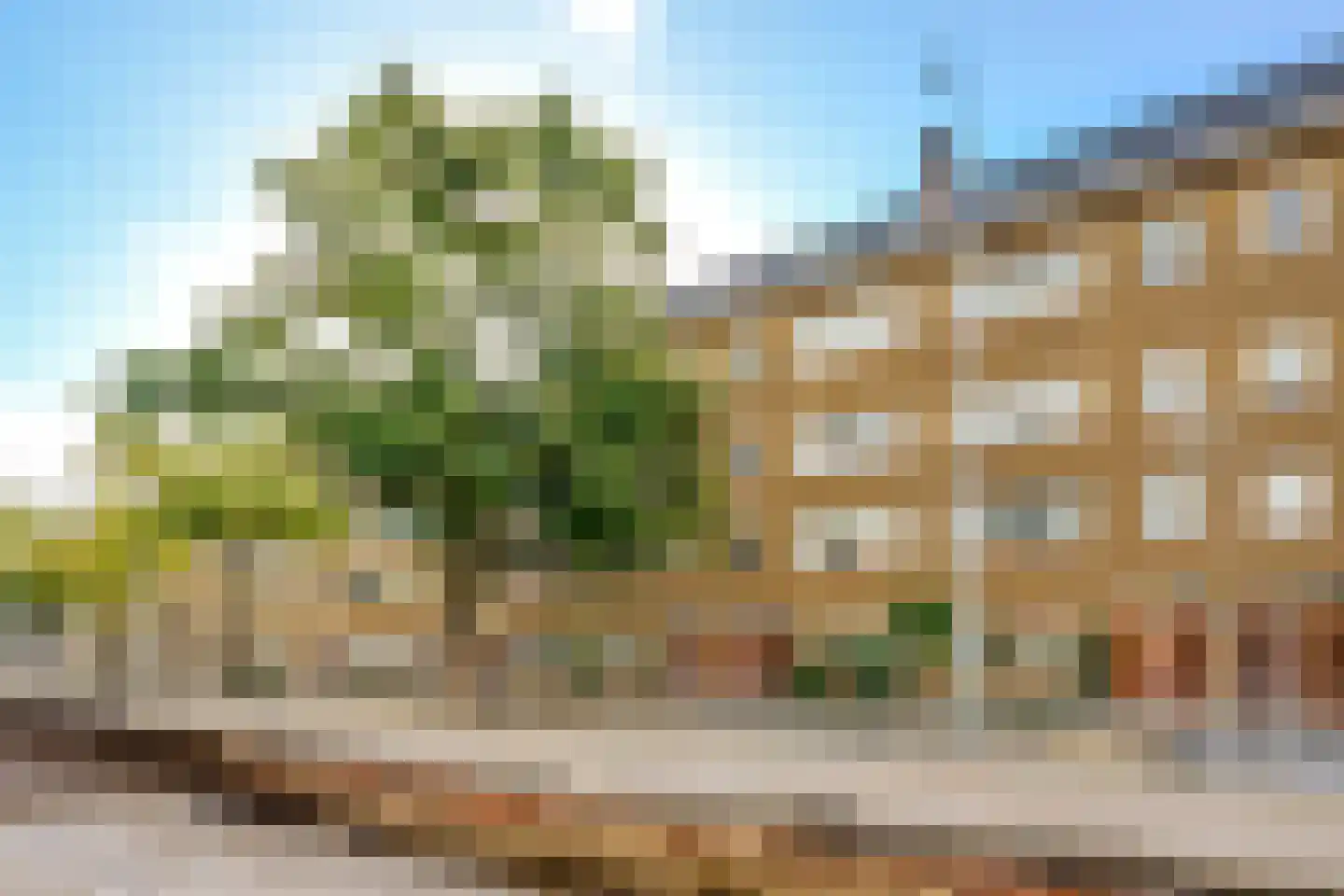 Burgemeester Knappertlaan 259 B Schiedam thumbnail 41