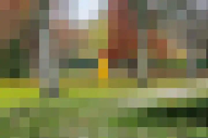 Burgemeester Knappertlaan 271 A Schiedam thumbnail 52