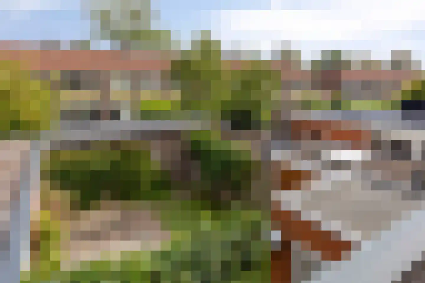 Burgemeester Knopperslaan 22 Meppel thumbnail 21