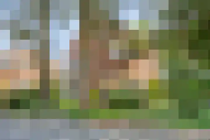 Burgemeester Knopperslaan 4 Meppel thumbnail 34
