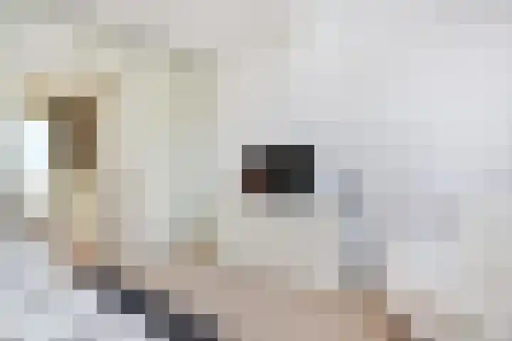 Burgemeester Kolfschotenlaan 15 Den Haag thumbnail 34