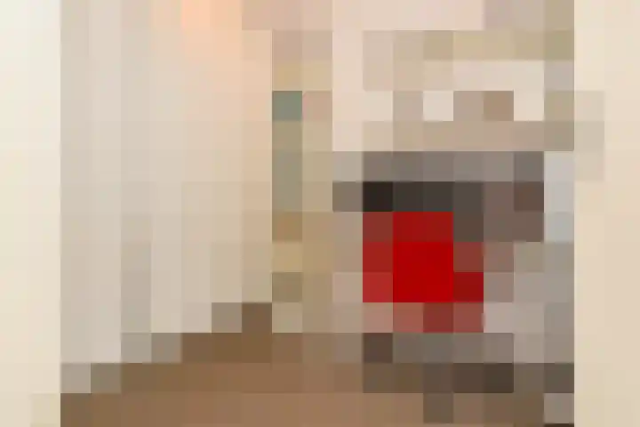 Burgemeester Kolfschotenlaan 15 Den Haag thumbnail 5