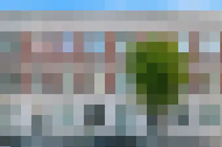 Burgemeester Kolfschotenlaan 29 in Den Haag