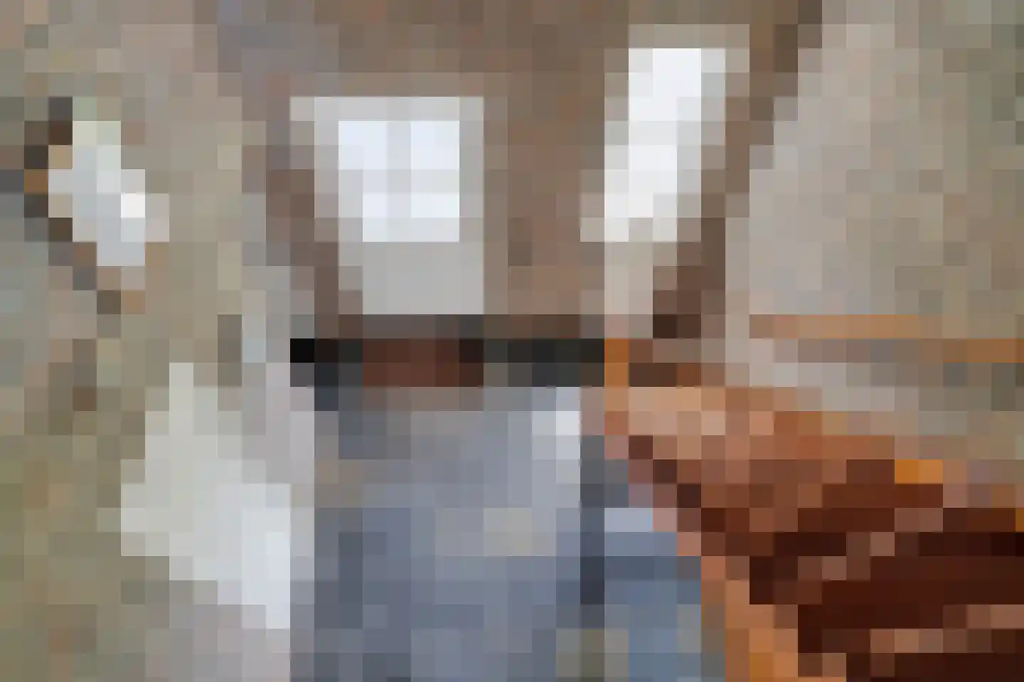Burgemeester Kolfschotenstraat 3 Eindhoven thumbnail 21