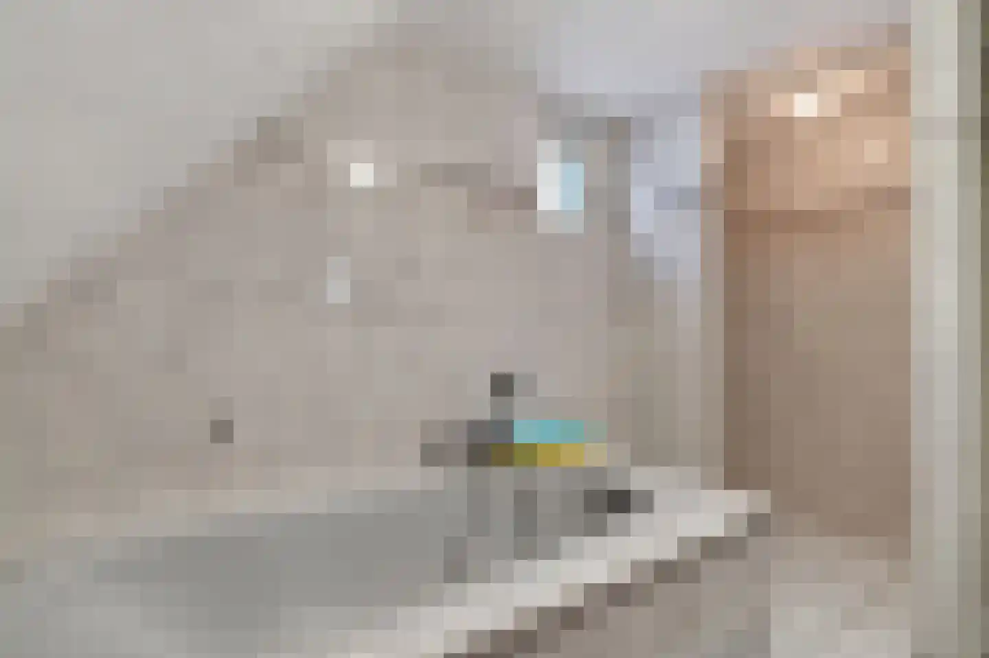 Burgemeester Kolfschotenstraat 3 Eindhoven thumbnail 33
