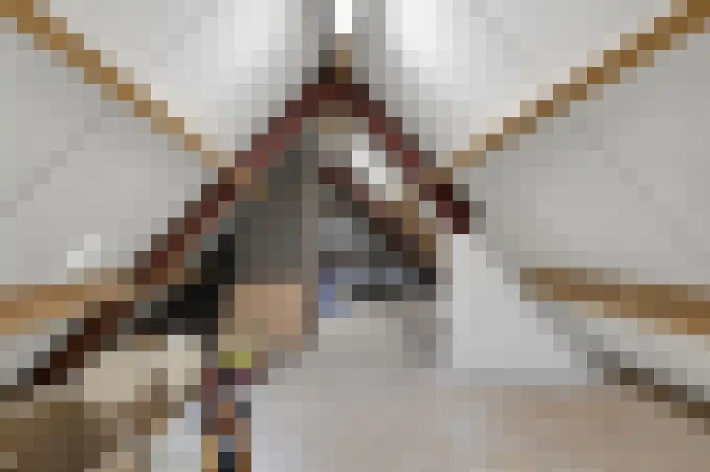 Burgemeester Kolfschotenstraat 3 Eindhoven thumbnail 36