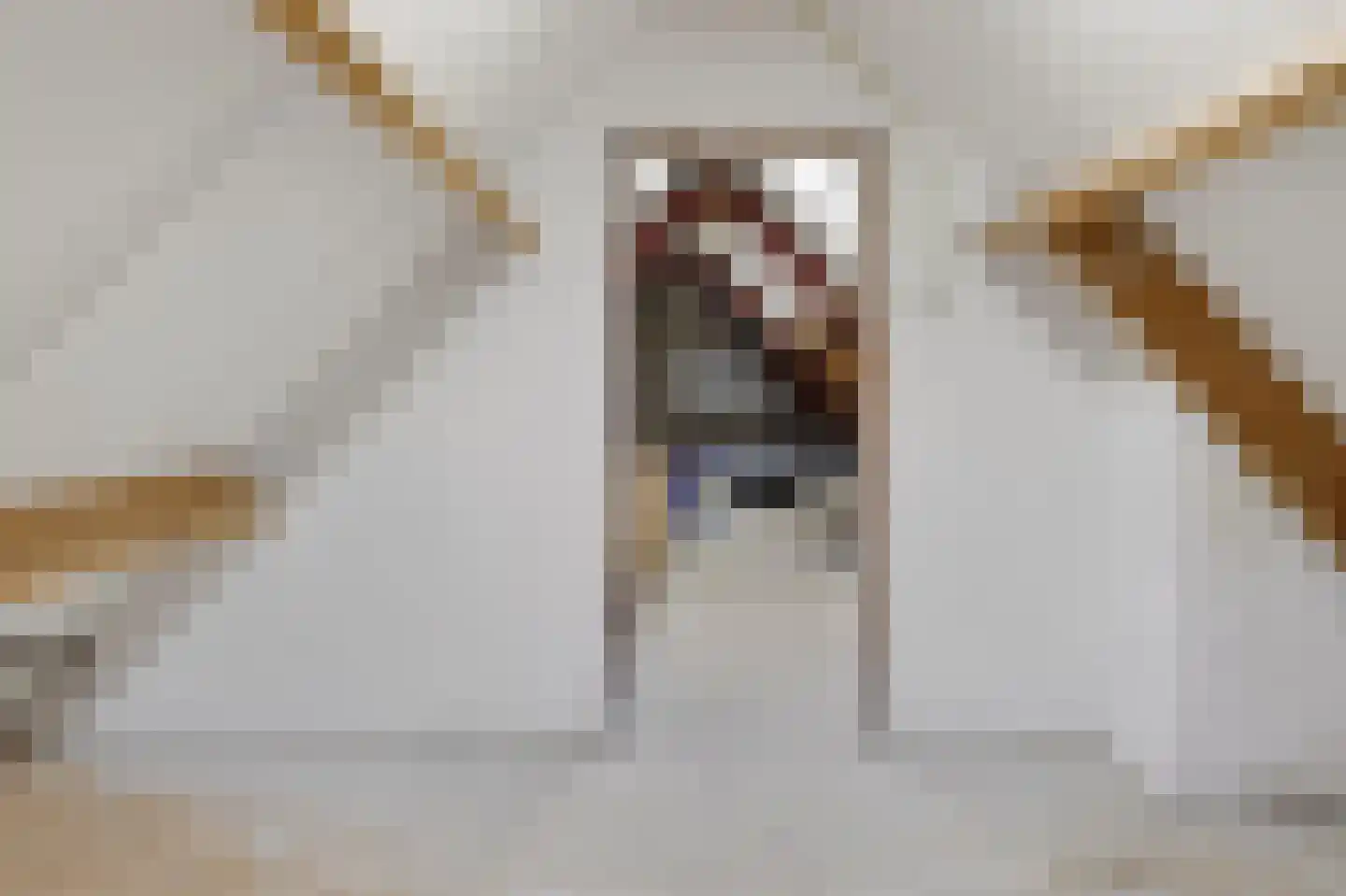 Burgemeester Kolfschotenstraat 3 Eindhoven thumbnail 37