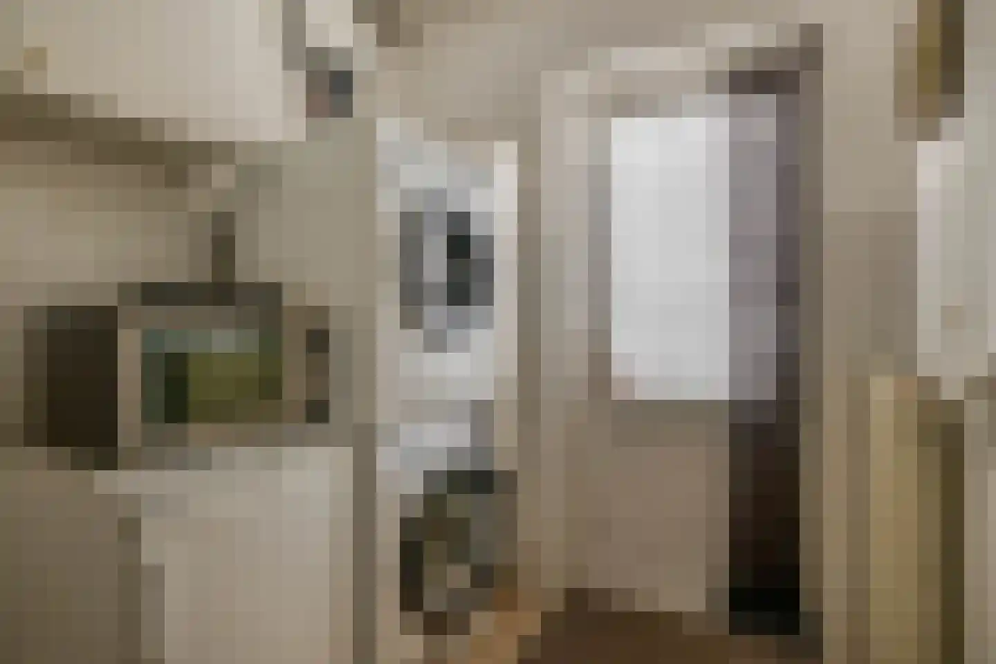 Burgemeester Kolfschotenstraat 6 Eindhoven thumbnail 23