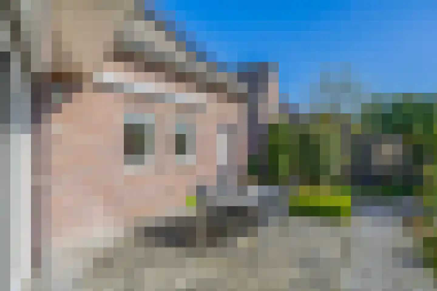 Burgemeester Kolfschotenstraat 6 Eindhoven thumbnail 39