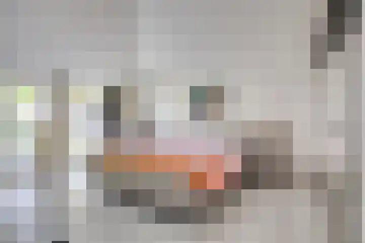 Burgemeester Kolfschotenstraat 9 Eindhoven thumbnail 18