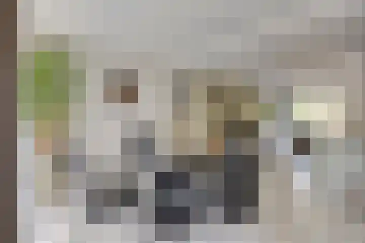 Burgemeester Kolfschotenstraat 9 Eindhoven thumbnail 8