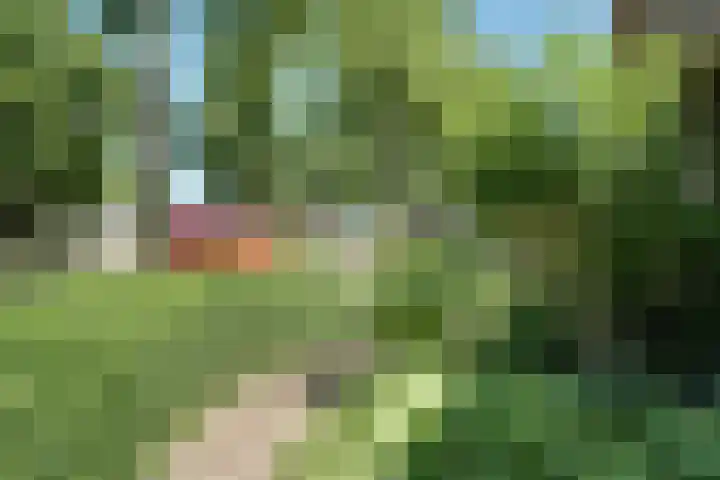 Burgemeester Kooimanweg 4 Hensbroek thumbnail 4