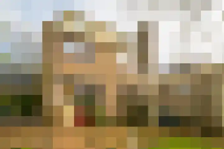 Burgemeester Kooimanweg 4 Hensbroek thumbnail 7
