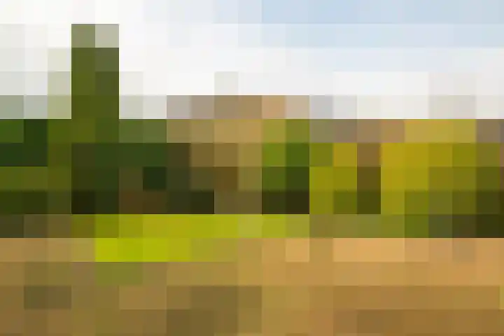 Burgemeester Kooimanweg 4 Hensbroek thumbnail 8