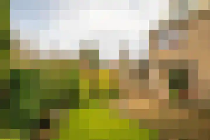 Burgemeester Kooimanweg 4 Hensbroek thumbnail 9