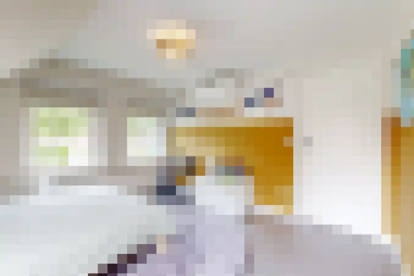 Burgemeester Koopmansingel 2 Zuidoostbeemster thumbnail 25
