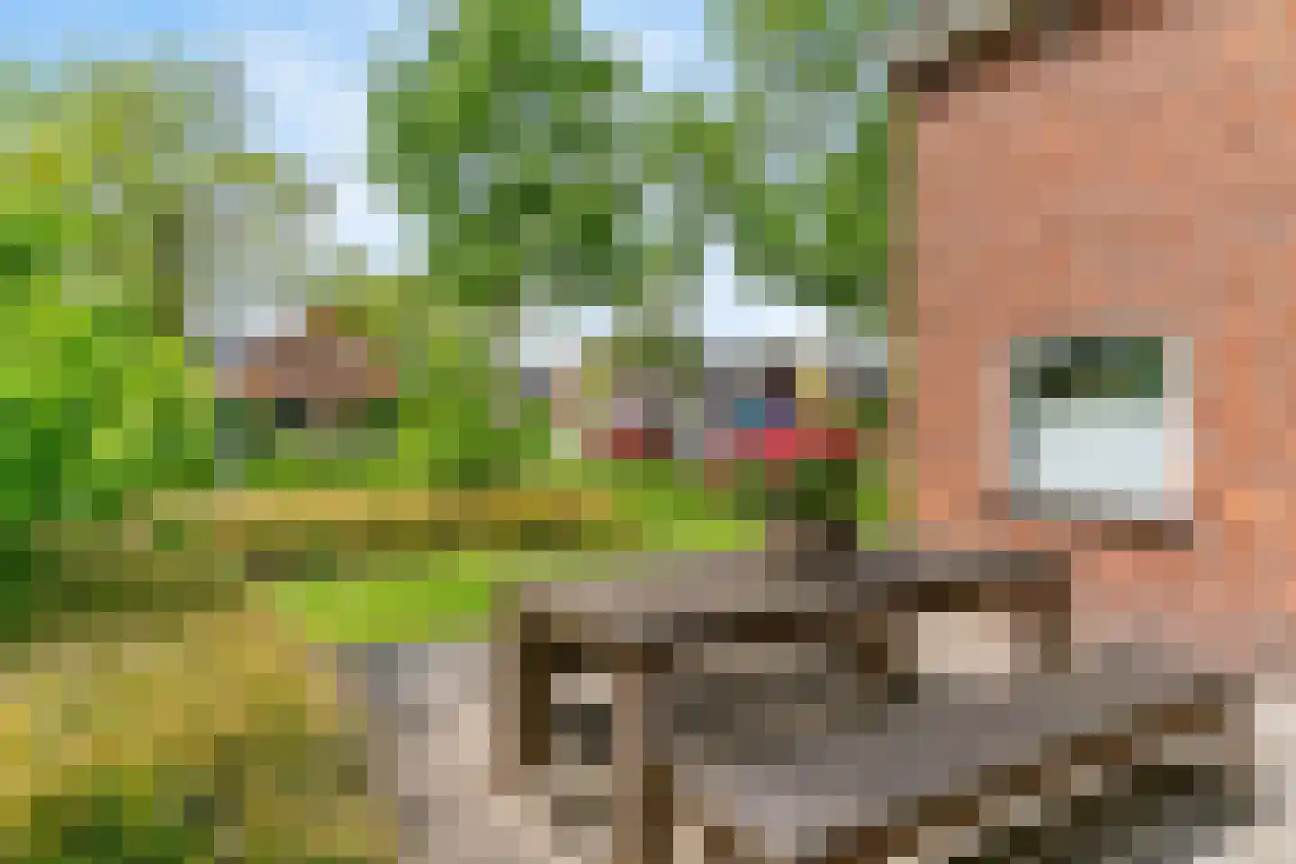 Burgemeester Koopmansingel 2 Zuidoostbeemster thumbnail 51
