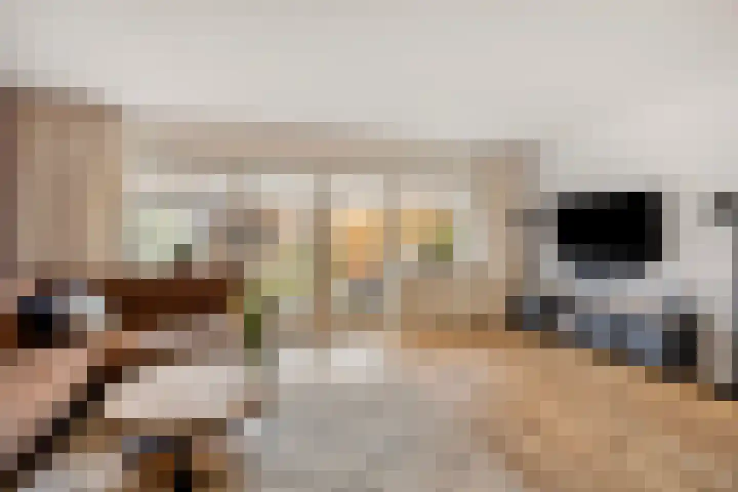 Burgemeester Koopmansingel 7 Zuidoostbeemster thumbnail 11
