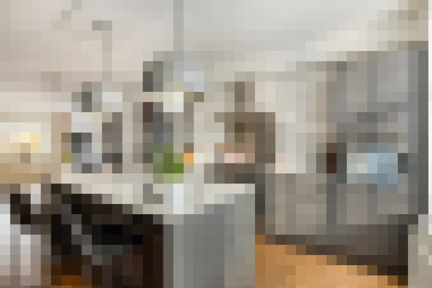 Burgemeester Koopmansingel 7 Zuidoostbeemster thumbnail 19