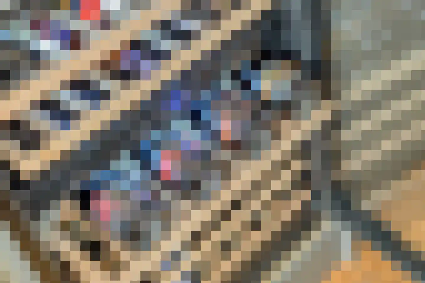 Burgemeester Koopmansingel 7 Zuidoostbeemster thumbnail 21