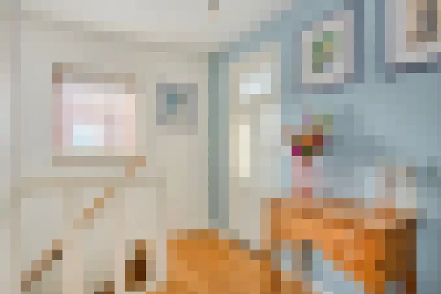 Burgemeester Koopmansingel 7 Zuidoostbeemster thumbnail 23