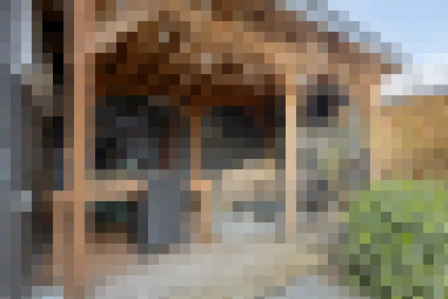 Burgemeester Koopmansingel 7 Zuidoostbeemster thumbnail 38