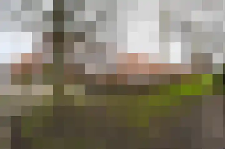 Burgemeester Kootlaan 141 Uithoorn thumbnail 30