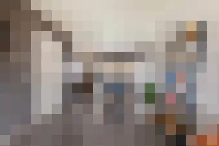 Burgemeester Korthals Alteslaan 19 Markelo thumbnail 11