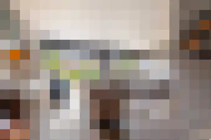 Burgemeester Korthals Alteslaan 19 Markelo thumbnail 17