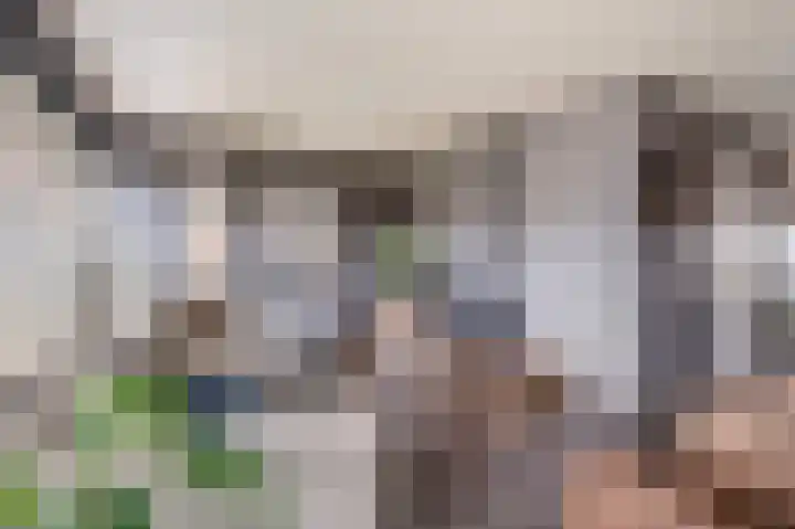 Burgemeester Korthals Alteslaan 19 Markelo thumbnail 19