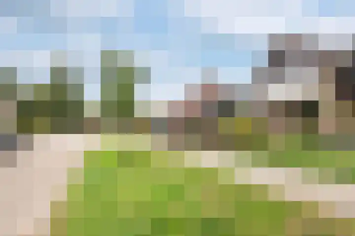 Burgemeester Korthals Alteslaan 19 Markelo thumbnail 34