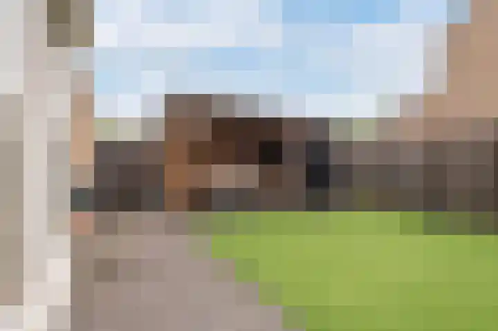 Burgemeester Korthals Alteslaan 19 Markelo thumbnail 4