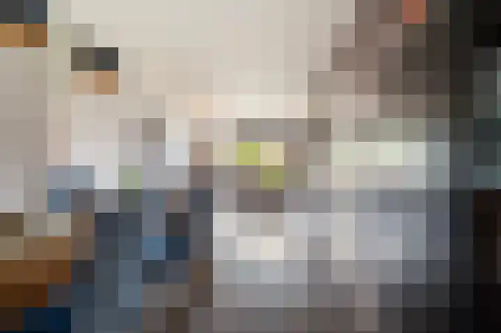 Burgemeester Korthals Alteslaan 19 Markelo thumbnail 9