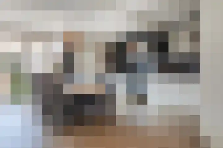 Burgemeester Kosterstraat 8 Winkel thumbnail 4