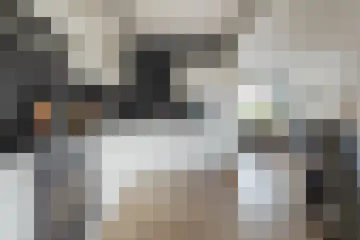 Burgemeester Kosterstraat 8 Winkel thumbnail 6