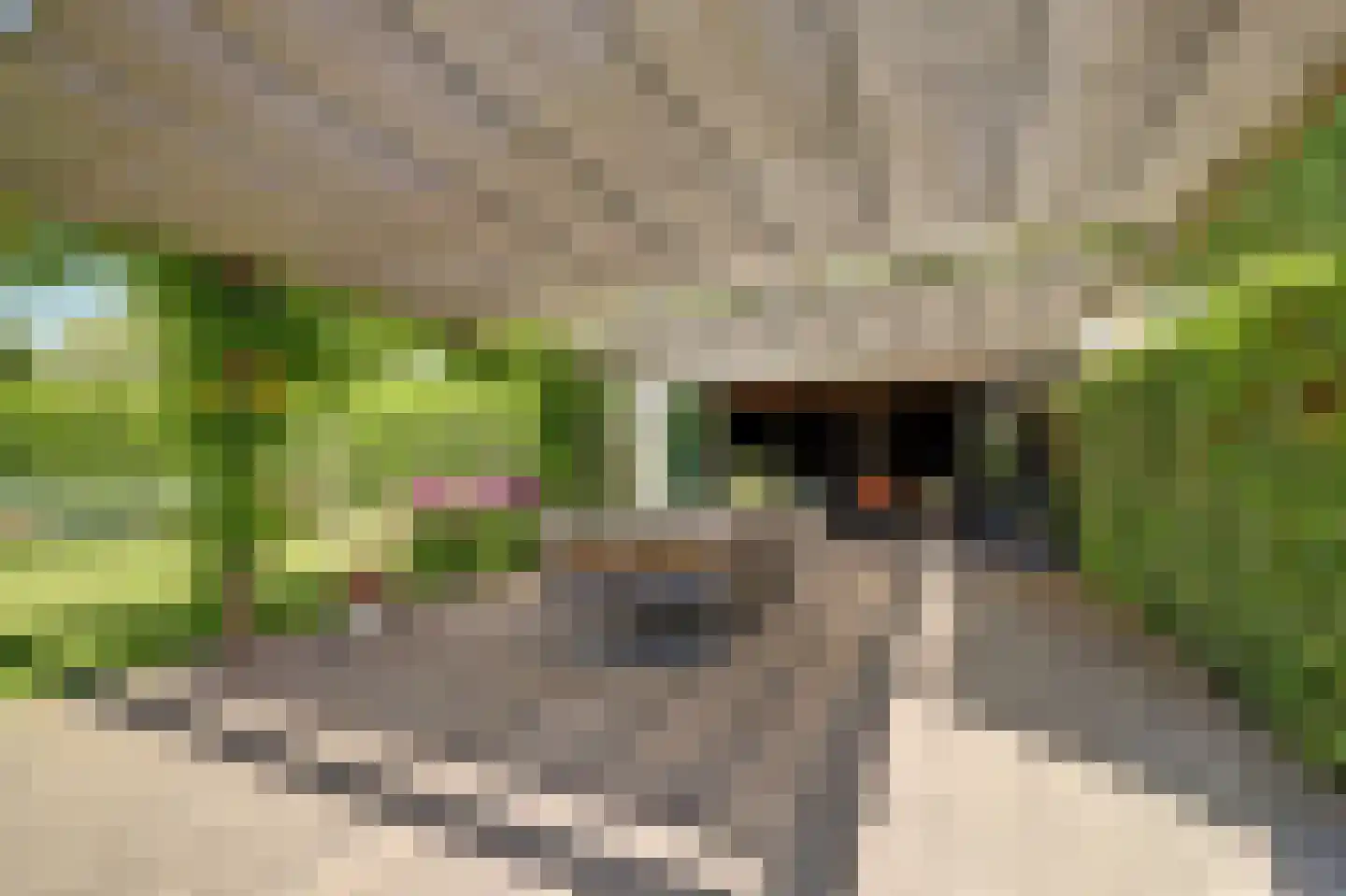 Burgemeester Kremerweg 1 Bodegraven thumbnail 5