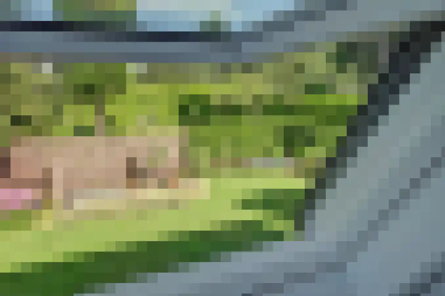 Burgemeester Kremerweg 1 Bodegraven thumbnail 54