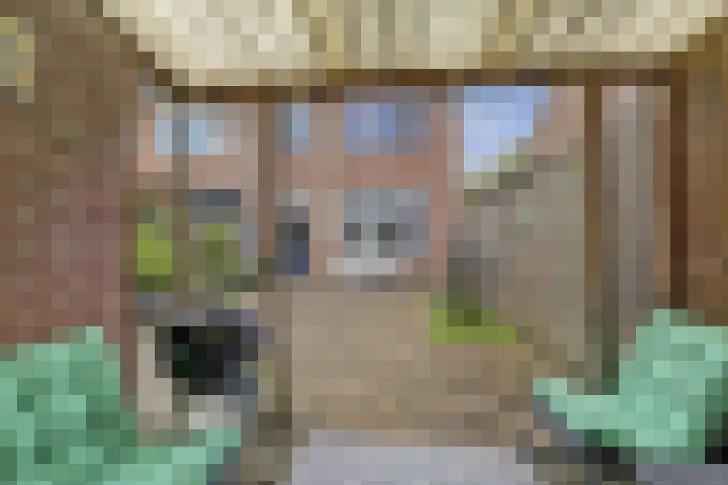 Burgemeester Krijgsmangeerde 34 Raamsdonksveer thumbnail 34