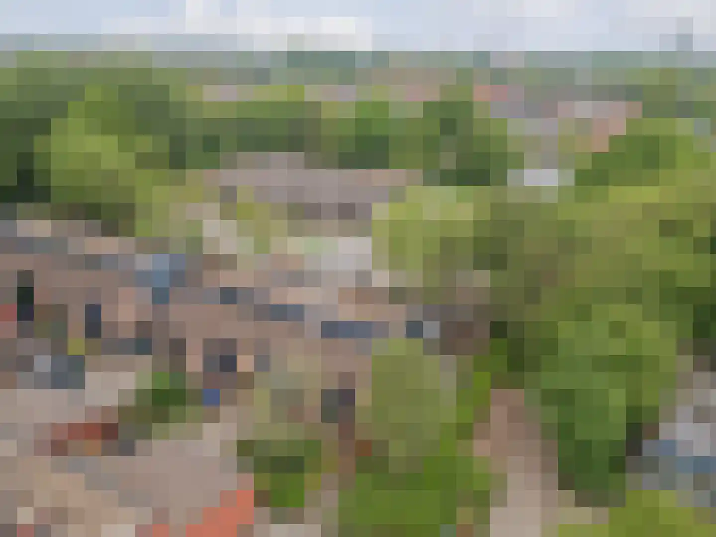 Burgemeester Krijgsmangeerde 41 Raamsdonksveer thumbnail 47